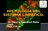 Dr. Henrry Geovanni Mata Lazo MD, F.M.O.. Se clasifican en 2 categor­as. “rganos linfoides primarios (centrales) Desarrollo y maduraci³n de linfocitos