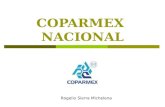 COPARMEX NACIONAL Rogelio Sierra Michelena. Nuestra presencia