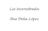 P.P.los   Delia L³pez