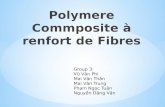 Polymere   renfort de fibres