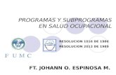 Subprogramas Salud Ocu.ppt