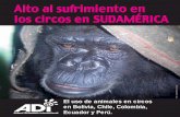 Alto al sufrimiento en los circos en SUDAMÉRICA · PDF fileLos siguientes ejemplos muestran la diversidad de especies ubicadas continuamente en los circos itinerantes de Sudamérica.